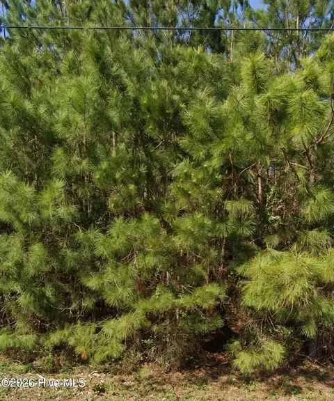 111 Windsor Ln, Edenton, NC 27932