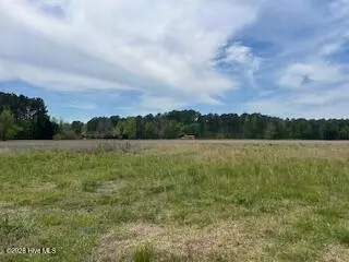201 Richardson Rd, Dover, NC 28526 photo 5