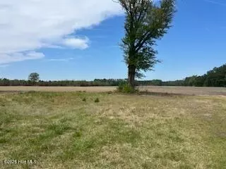 201 Richardson Rd, Dover, NC 28526 photo 3
