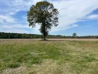 201 Richardson Rd, Dover, NC 28526 photo 6