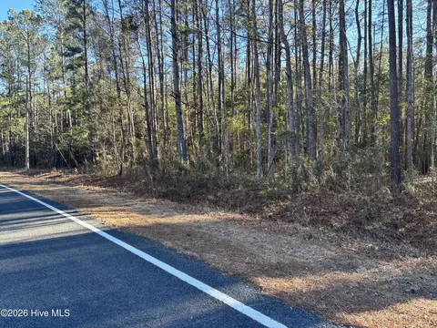 0 Biggs Rd, Rowland, NC 28383