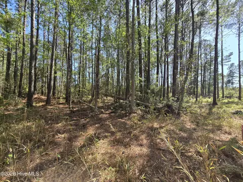 lot B Renee Dr, Hampstead, NC 28443