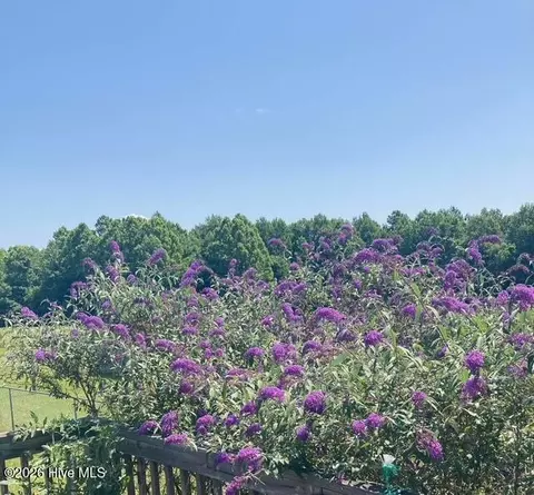 Other - 309 Smith Rd, Gates, NC 27937 photo 9 of 13