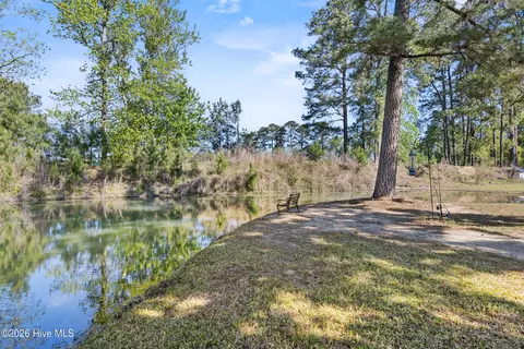 3740 Tuckahoe Rd, Ivanhoe, NC 28447 photo 44