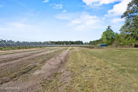 3740 Tuckahoe Rd, Ivanhoe, NC 28447 photo 43