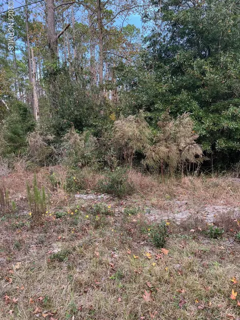 230 Redwood Rd, Southport, NC 28461