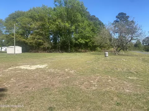 145 Alum Springs Rd, Mount Olive, NC 28365
