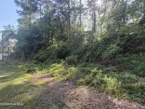 412 S Thompson St, Whiteville, NC 28472