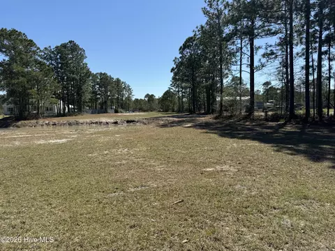 310 The Cove Ln NE, Leland, NC 28451