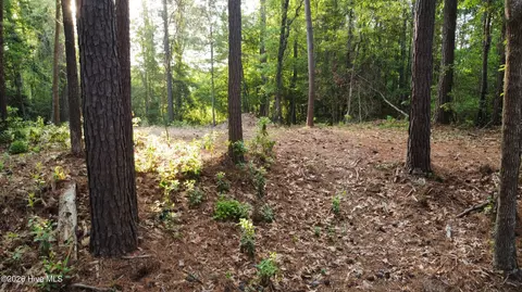 110 Rustic Ct, Hampstead, NC 28443 photo 3