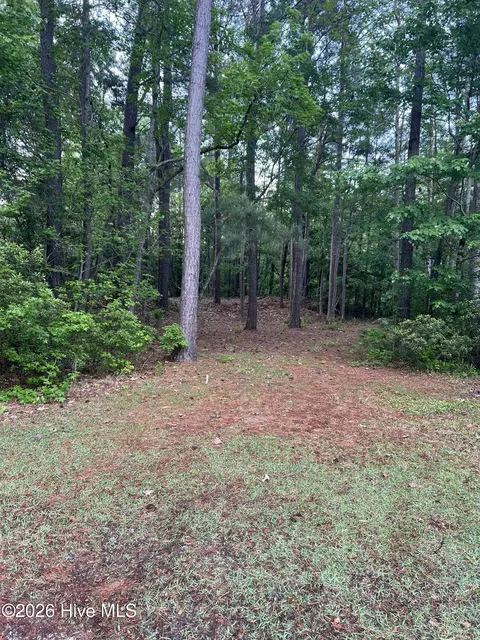 110 Rustic Ct, Hampstead, NC 28443 photo 8