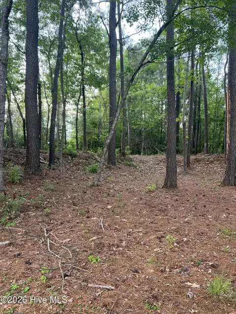 110 Rustic Ct, Hampstead, NC 28443 photo 7