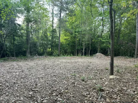 110 Rustic Ct, Hampstead, NC 28443 photo 6