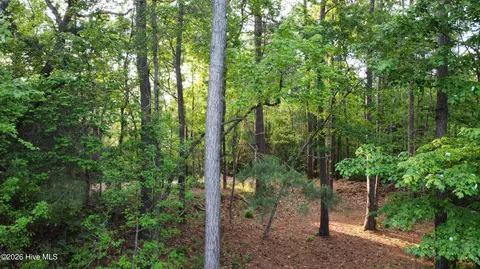 110 Rustic Ct, Hampstead, NC 28443 photo 10