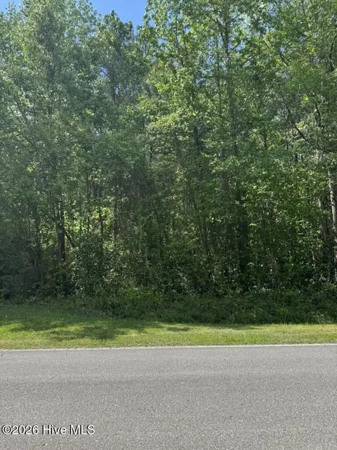 0 Borough Rd, Currie, NC 28435