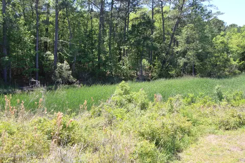 223 Bear Creek Rd, Hubert, NC 28539 photo 6