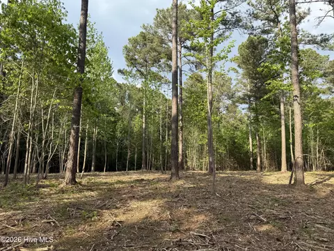 000 Tbd Lancaster Store Road Rd, Spring Hope, NC 27882 photo 4