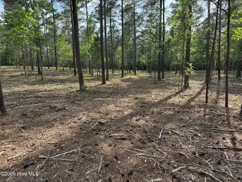 000 Tbd Lancaster Store Road Rd, Spring Hope, NC 27882 photo 5