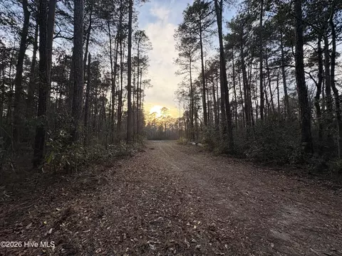 3 98 Acres Pelham Rd, Willard, NC 28478