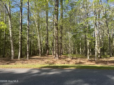 0 Island Dr, Chocowinity, NC 27817 photo 4