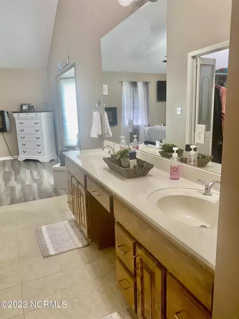 Bath - 166 Pine Tree Ln, Chadbourn, NC 28431 photo 6 of 6