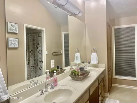 Bath - 166 Pine Tree Ln, Chadbourn, NC 28431 photo 4 of 6