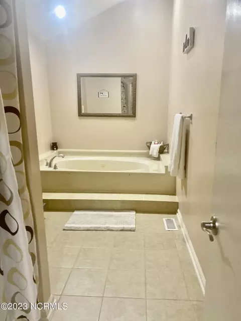 Bath - 166 Pine Tree Ln, Chadbourn, NC 28431 photo 5 of 6