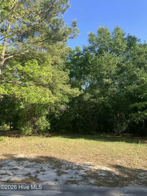 227 River Ridge Dr, Wallace, NC 28466