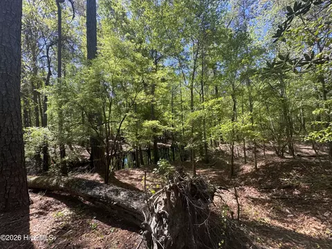 5 6 7 53 Off Hwy, Atkinson, NC 28421 photo 9