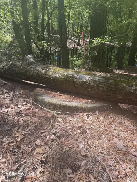 5 6 7 53 Off Hwy, Atkinson, NC 28421 photo 8