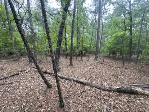 5 6 7 53 Off Hwy, Atkinson, NC 28421 photo 5