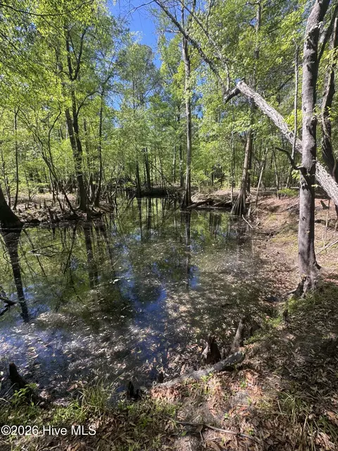 5 6 7 53 Off Hwy, Atkinson, NC 28421 photo 4
