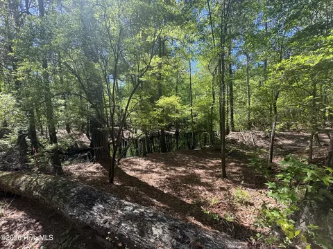 5 6 7 53 Off Hwy, Atkinson, NC 28421 photo 7