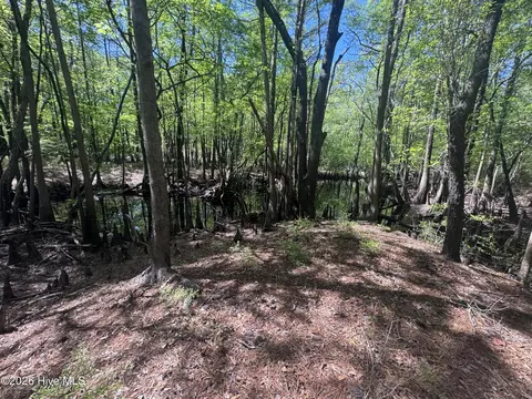 5 6 7 53 Off Hwy, Atkinson, NC 28421 photo 2