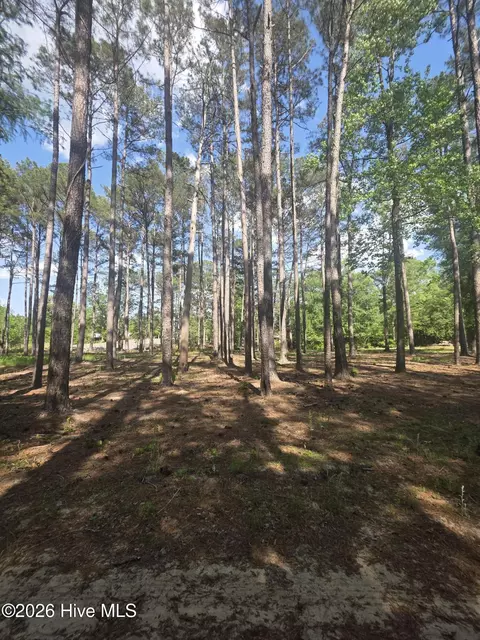 lot Apt 46 Juniper Ln, Currie, NC 28435