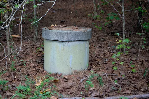5570 Lancaster Store Rd, Spring Hope, NC 27882 photo 4