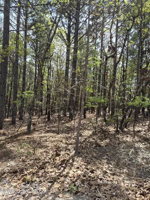4 Brassie Ln, Foxfire Village, NC 27281