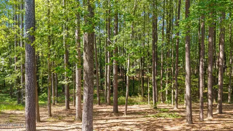 Other - 122 Providence Pl, Chocowinity, NC 27817 photo 10 of 10