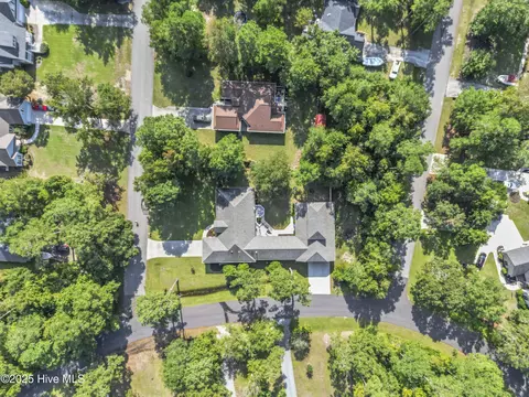View/Area - 147 Pine Needle Dr, Hampstead, NC 28443 photo 12 of 12