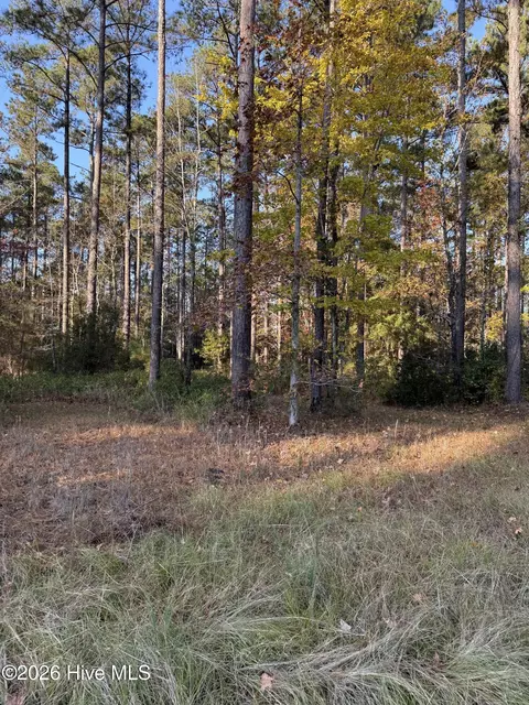 219 Ocracoke Dr, Oriental, NC 28571 photo 5