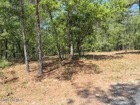 1028 Sorrell Dr, Vass, NC 28394