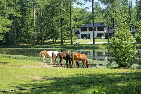 171 Dobbins Ln, Rockingham, NC 28379