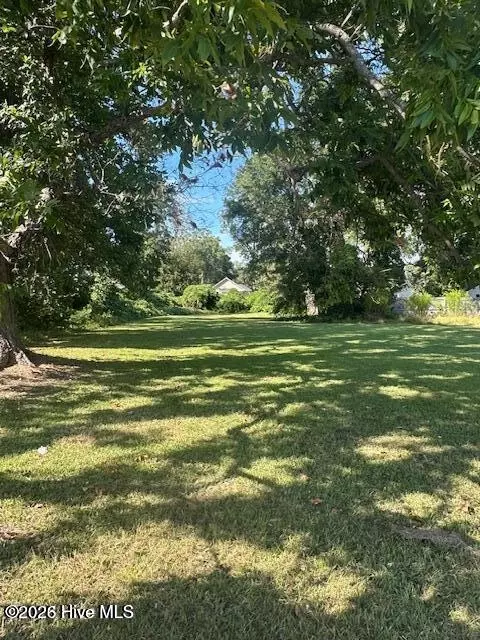 112 N Lee St, Whiteville, NC 28472