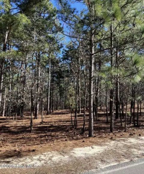 14 Kilbride Dr, Pinehurst, NC 28374