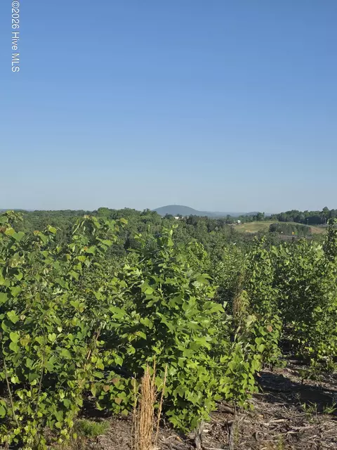 1618 Skeen View Rd, Asheboro, NC 27205