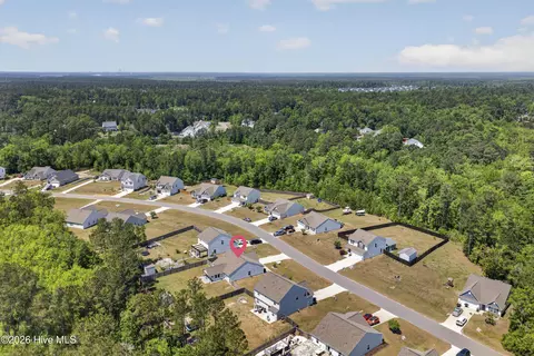View/Area - 429 Poppleton Dr, Hampstead, NC 28443 photo 5 of 9