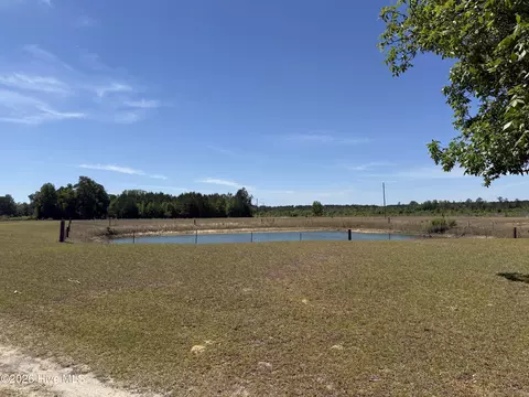 View/Area - 3731 Marsh Rd, Bladenboro, NC 28320 photo 1 of 1