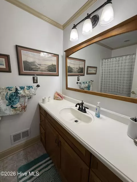 Bath - 3731 Marsh Rd, Bladenboro, NC 28320 photo 1 of 2