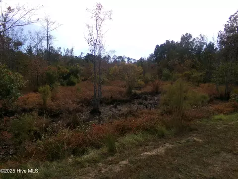 lot44964 Big Island Rd, White Oak, NC 28399
