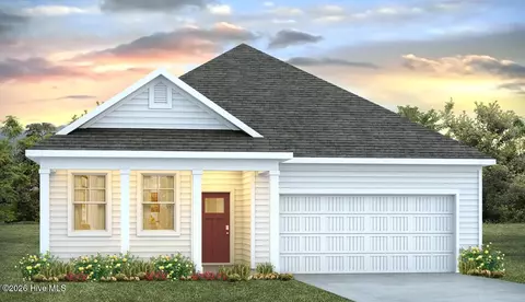 1021 Pampas Grass Dr #LOT 320, Castle Hayne, NC 28429